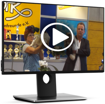 Fernsehen Messe Monitor