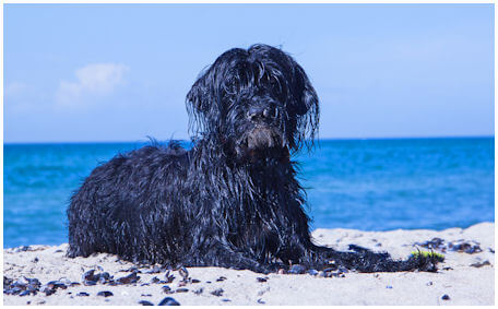 Lotta3juni17ostsee