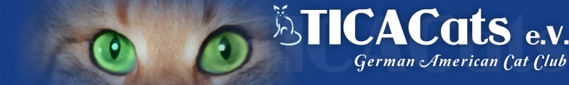 banner ticacats