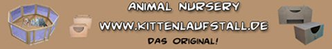 Kittenlaufstall