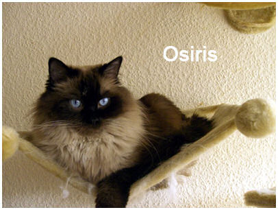 osiris 08